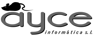 Ayce Informatica