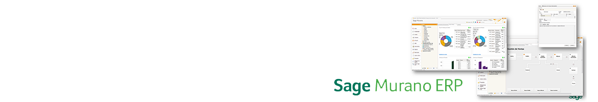 Sage Murano - Ayce Informatica